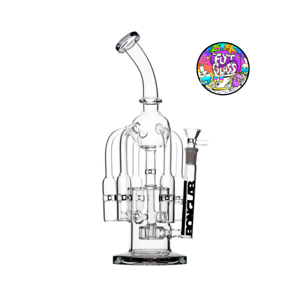 MEDUSA BLACK-BONGLAB